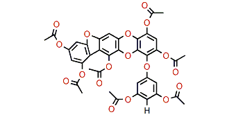 Fucofuroeckol B heptaacetate